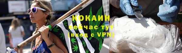 PSILOCYBIN Балахна