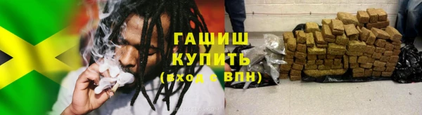 крисы Баксан