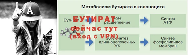крисы Баксан
