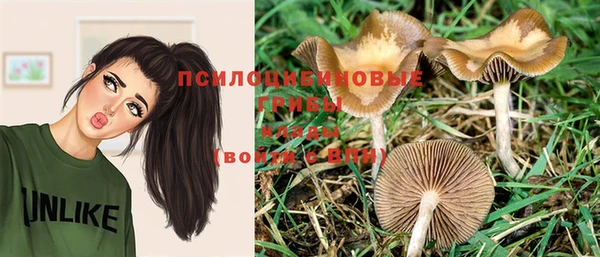 PSILOCYBIN Балабаново