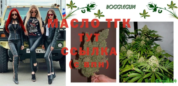 крисы Баксан