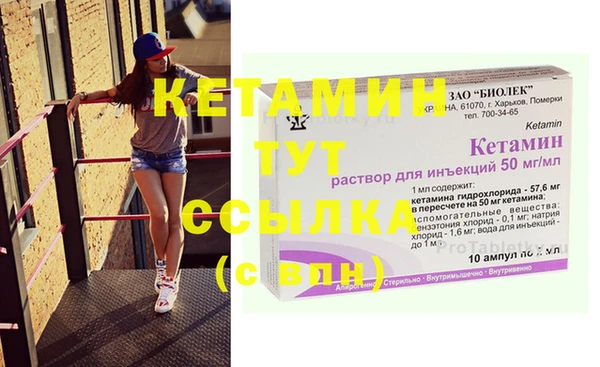 крисы Баксан