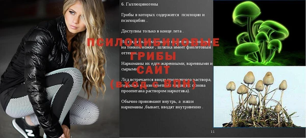 PSILOCYBIN Балабаново