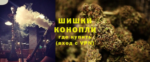 PSILOCYBIN Балахна
