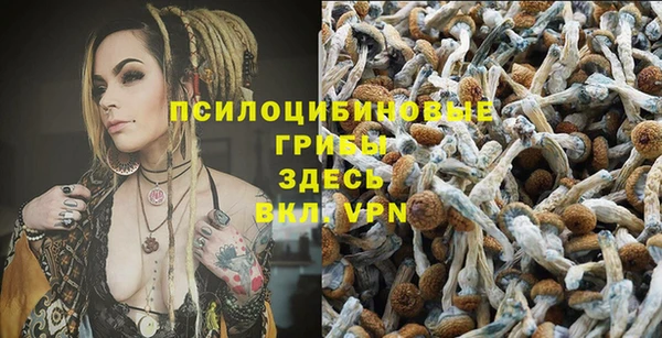 PSILOCYBIN Балахна